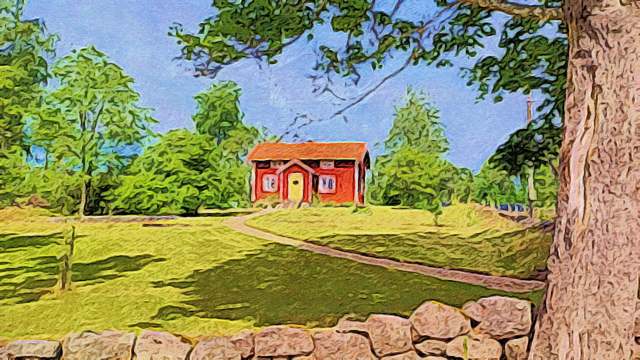 Ein Bild, das Baum, Gras, Pflanze enth�lt.

Automatisch generierte Beschreibung